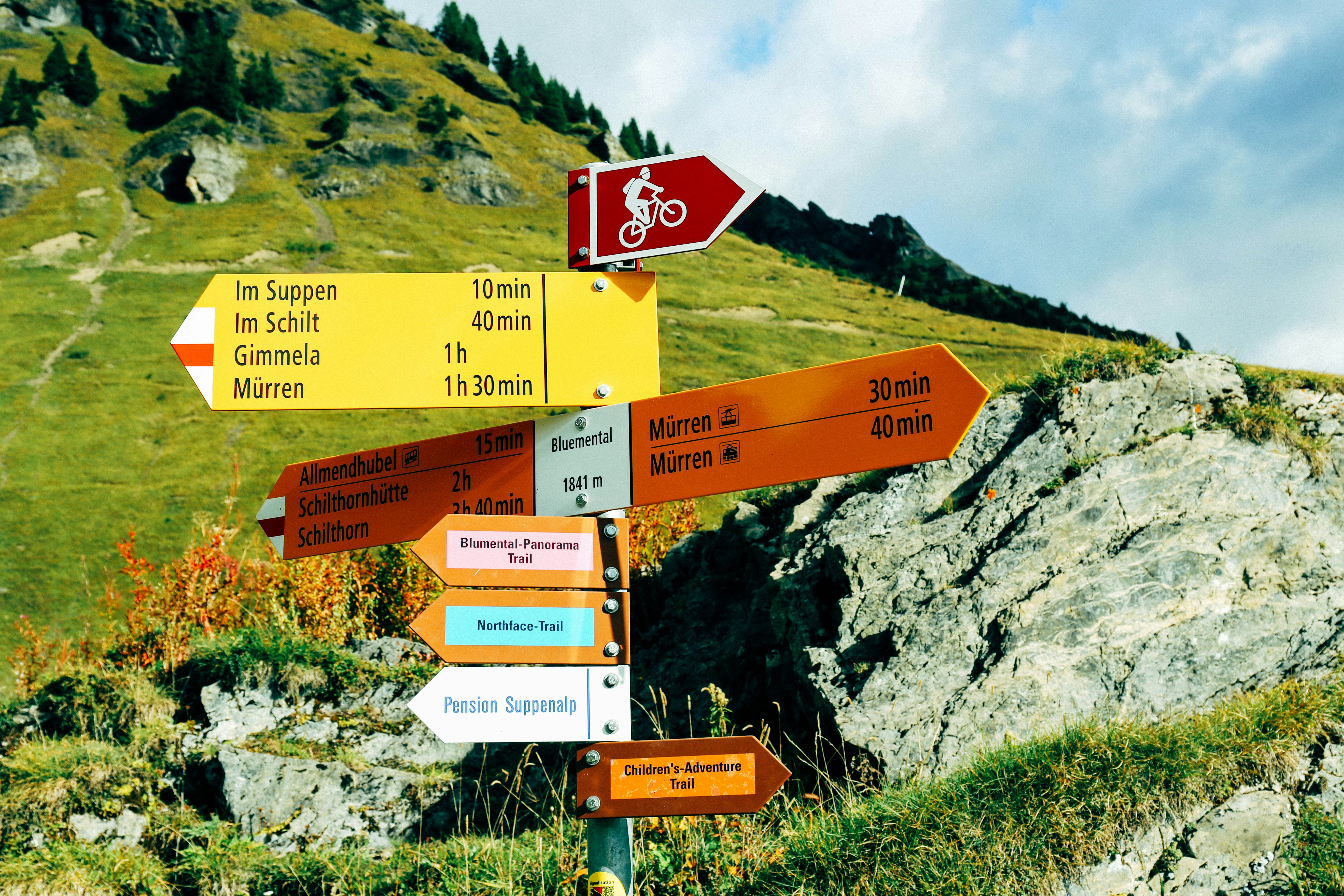 Editorial desk with manuscript notes separating cause, association, and prediction